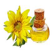 Sunflower Oil For Health on 9Apps