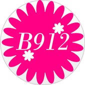 Camera B912 - Selfie Heart icon