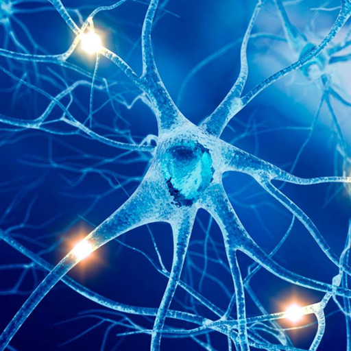 Nervous System icon