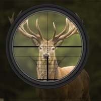 Wild Hunting : Free wild hunt : Wild hunter games