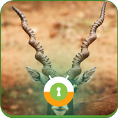Black Buck Wall &amp; Lock icon