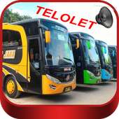 Bus Subur Jaya Telolet