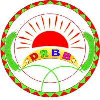 DRBB App Wallet: Unique Ways Of Earning