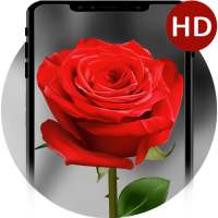 Roses Live Wallpaper-Animated Roses Themes Live on 9Apps