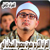 القارئ محمود الشحات انور mahmood shahat anwar أيقونة