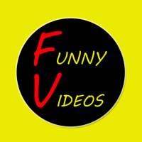 Funny Videos