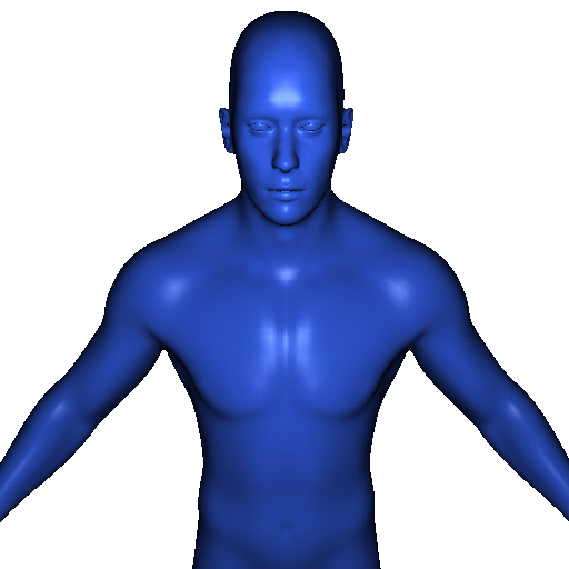 Muscle Exercises icon