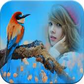 Birds Photo Frames on 9Apps