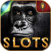 Congo Slots