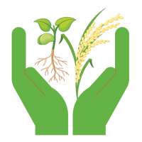 Quality Seeds on 9Apps