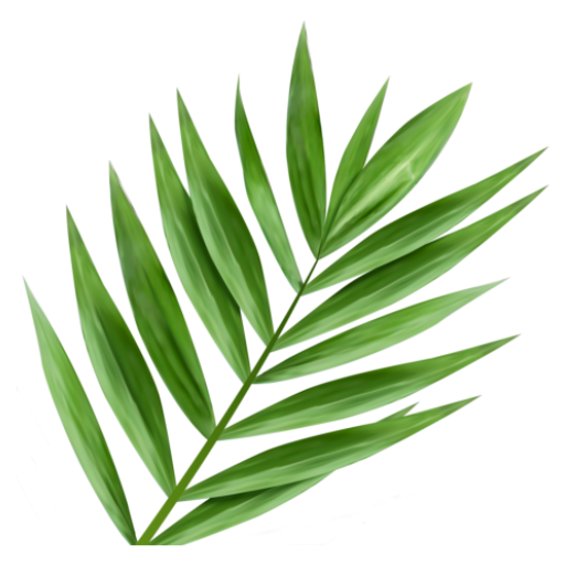 Palm Branch: Daily Bible Verses and Bible Study icon