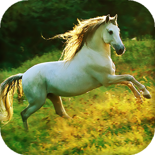 Horses Live Wallpaper : 7fon &amp; LWP icon