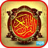 Quran Mp3: 100 Reciter