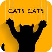 CATS CATS