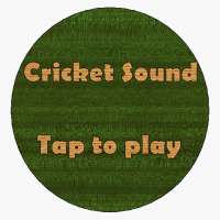 Cricket Sound Button