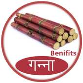 गन्ना के फायदे icon