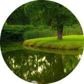 The sounds of Nature and Music icon