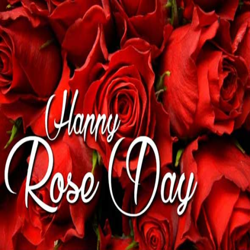Happy Rose Day:Greeting, Photo icon