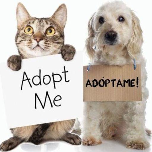 PERROS Y GATOS EN ADOPCIÓN icon