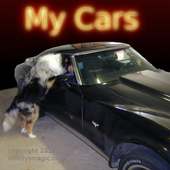 My Cars