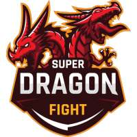 Super Dragon Fight