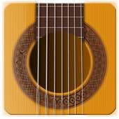 Real Guitar - Virtual Guitar Pro on 9Apps
