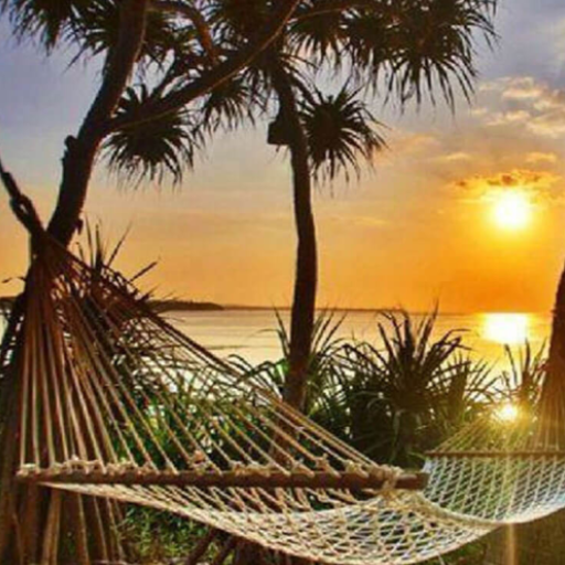 Summer Wallpaper icon