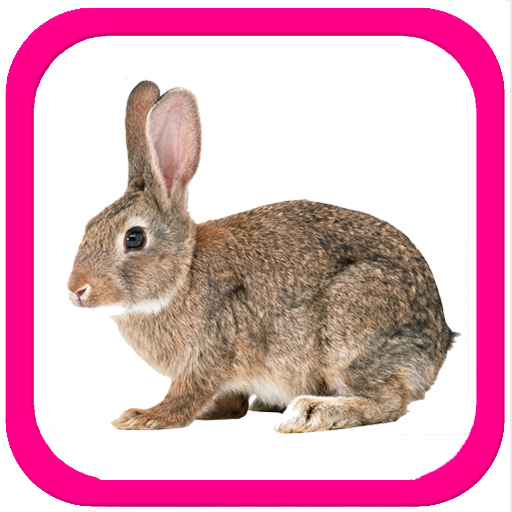 Учим животные для малышей أيقونة
