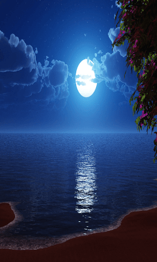 Moon Light LiveWallpaper screenshot 1