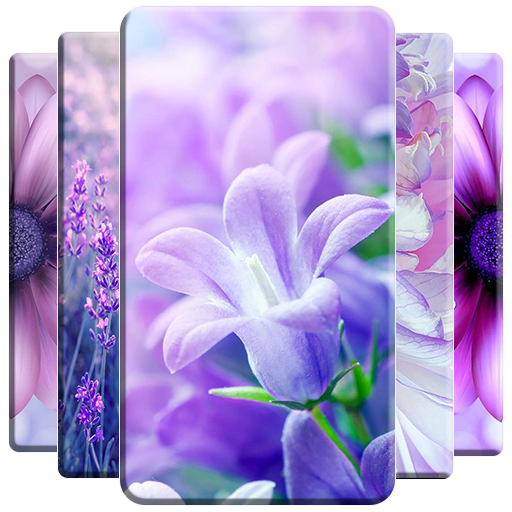 Purple Flower Wallpaper icon