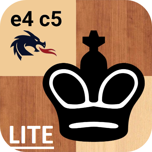 Combinations in the Dragon Lite icon