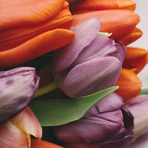 Love Lock Screen icon