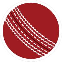 Cricket Score Counter and Save