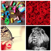 HD Обои иконка