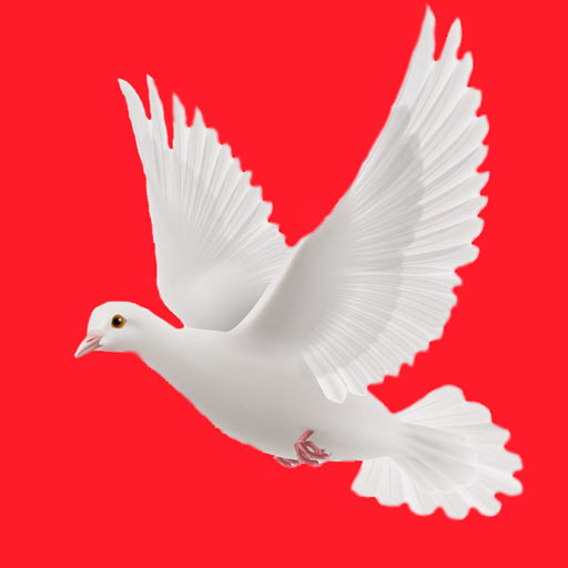 Kabootar Messenger icon