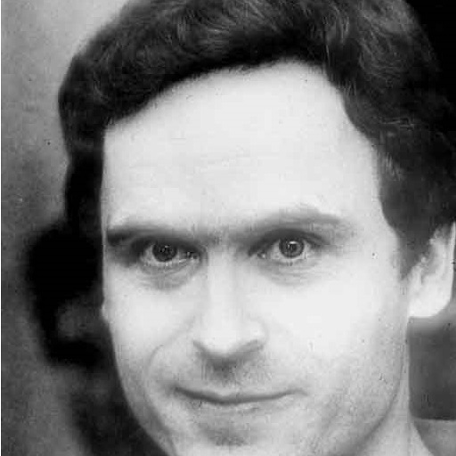 Ted Bundy - Serial Killer Crime Profile icon