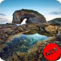 Nature Wallpaper on 9Apps