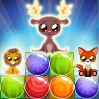 Bubble Safari Rescue