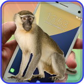 Monkey On Screen Prank icon