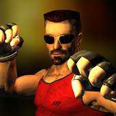 Ultimate Street Fight