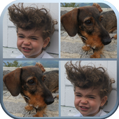 Photo Memory, Play Your Cards icon