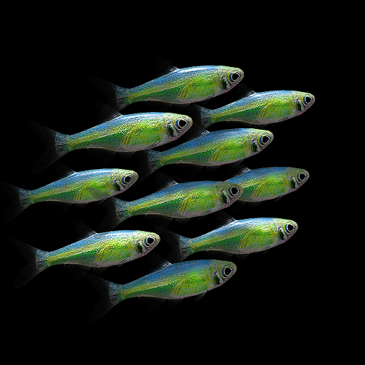 NANO AQUARIUM Free icon