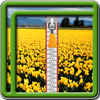 Zipper Lock Screen Daffodil أيقونة