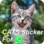 CAT Sticer for (WAStickerApp) icon