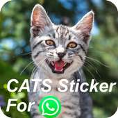 CAT Sticer for (WAStickerApp)