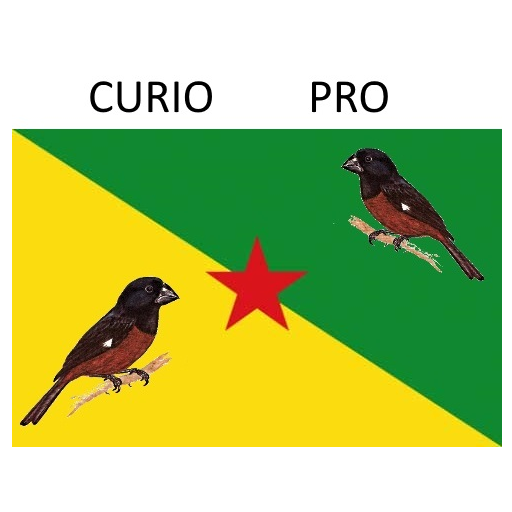 Cùrio pro Free icon
