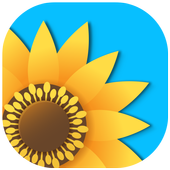 Gallery icon