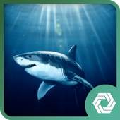 Shark live Wallpaper icon