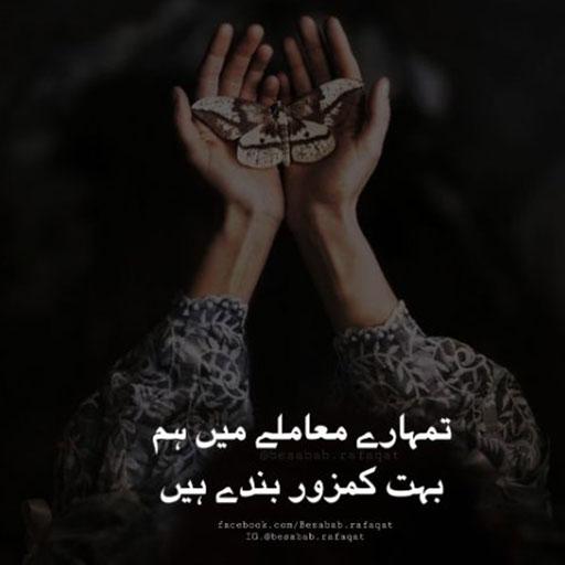 Offline Urdu Poetry 2020 icon