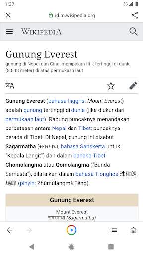 Google Go screenshot 3